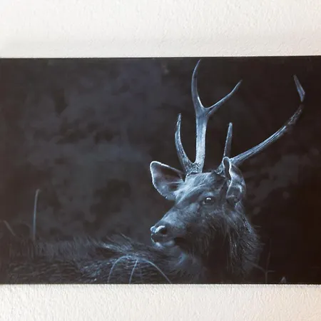 Le Boletus By Interhome * Saclentse