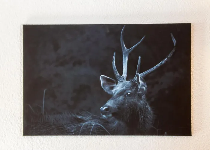 Le Boletus By Interhome * Saclentse